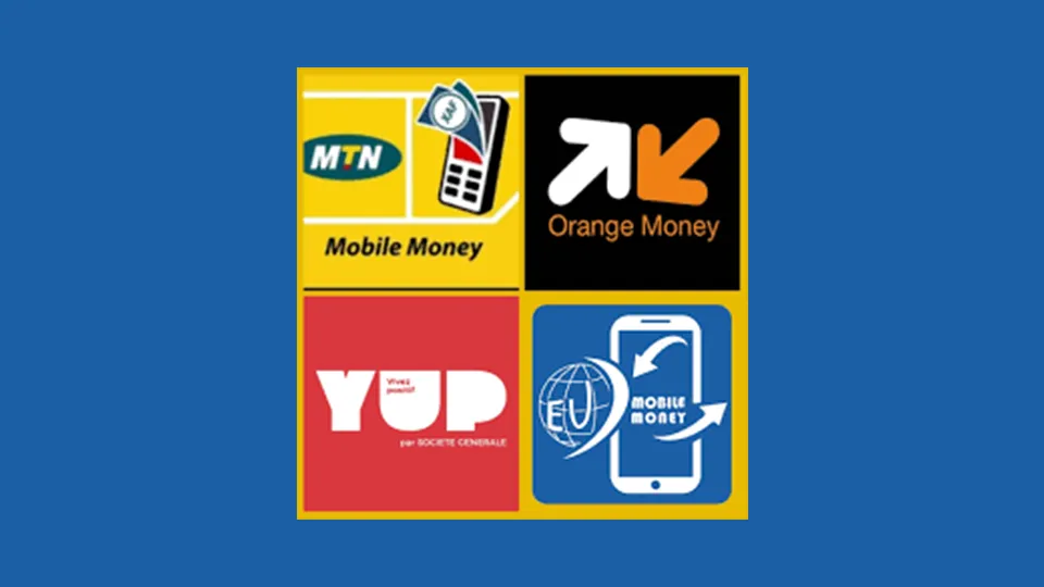 Growth of mobile money in Cameroon promotes financial inclusion 1 Growth of mobile money in Cameroon promotes financial inclusion